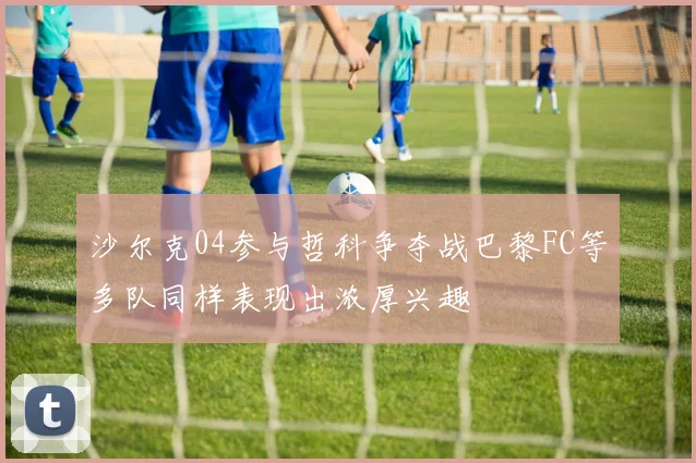 沙尔克04参与哲科争夺战巴黎FC等多队同样表现出浓厚兴趣