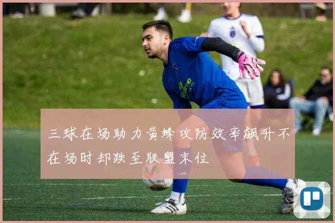 三球在场助力黄蜂攻防效率飙升不在场时却跌至联盟末位